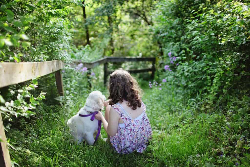 helping your child move on from the loss of a pet