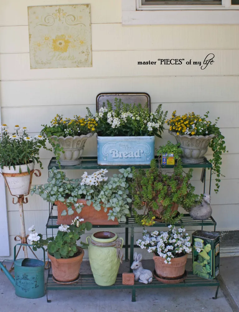 container gardening tips