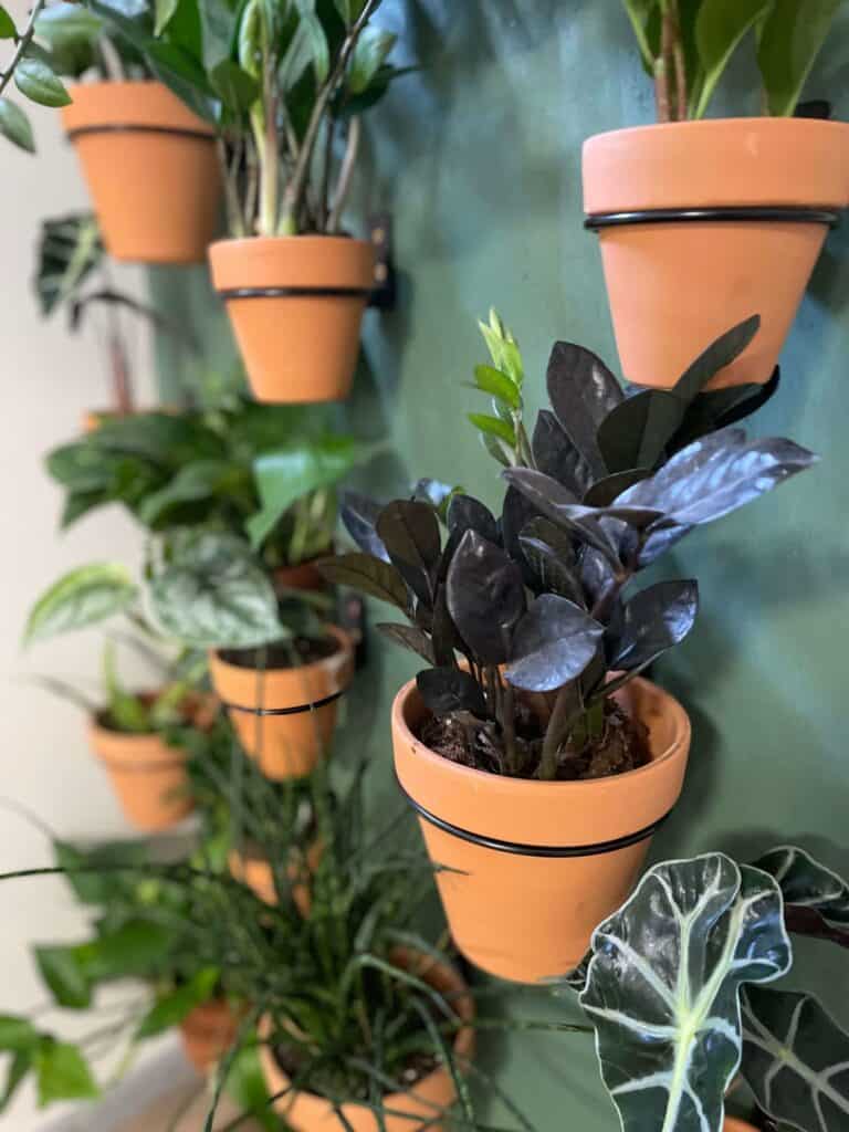 indoor living plant wall diy