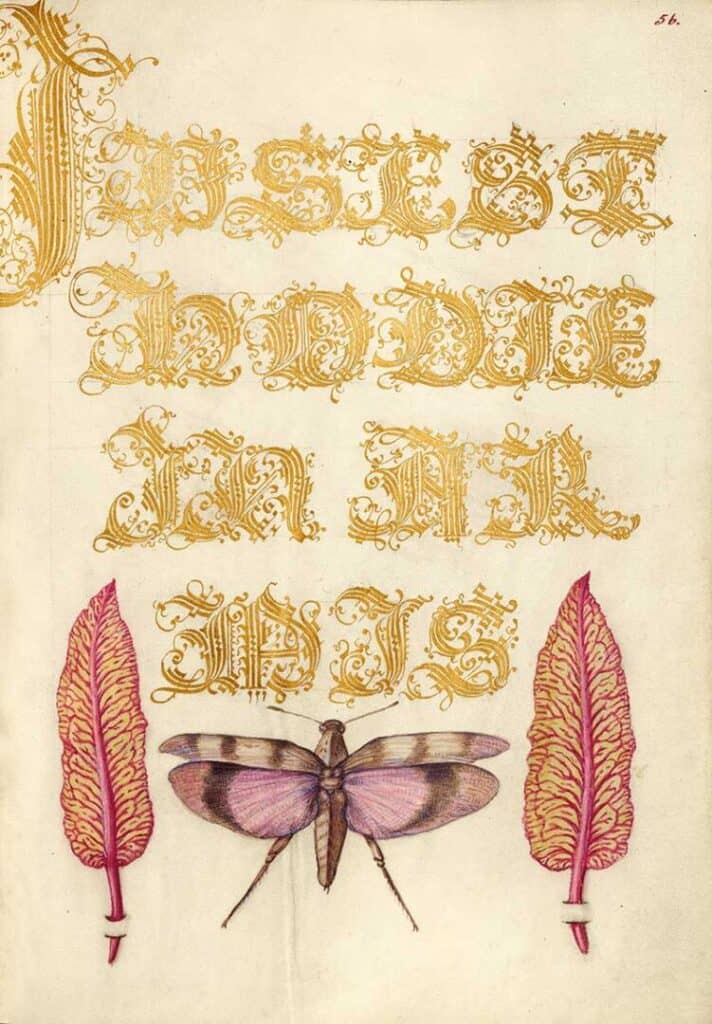 old calligraphy print