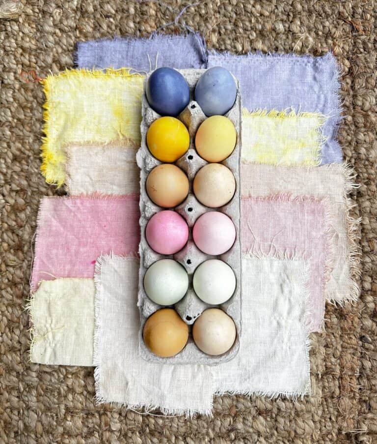 dyed Easter eggs