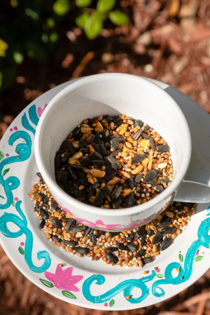 DIY tecup birdfeeder