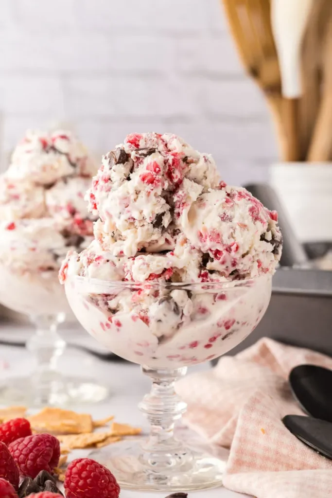 raspberry dark chocolate ice cream