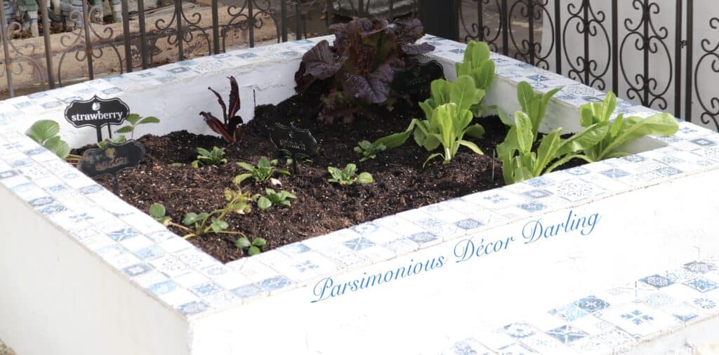 raised bed garden