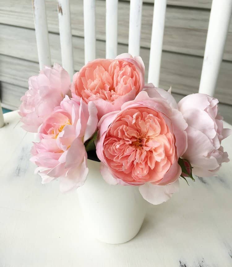 roses in vase